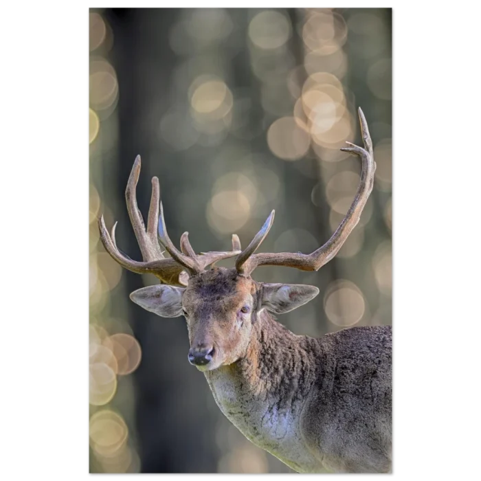 4659b9d2-4a4a-4a29-9e92-ba9992824c65