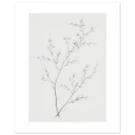 46dec310-8ed9-4d21-beb2-7406452c8fd5