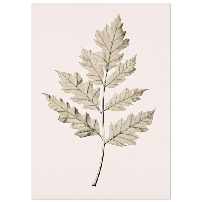 483fea72-c612-43e5-b254-309d1bed01d7