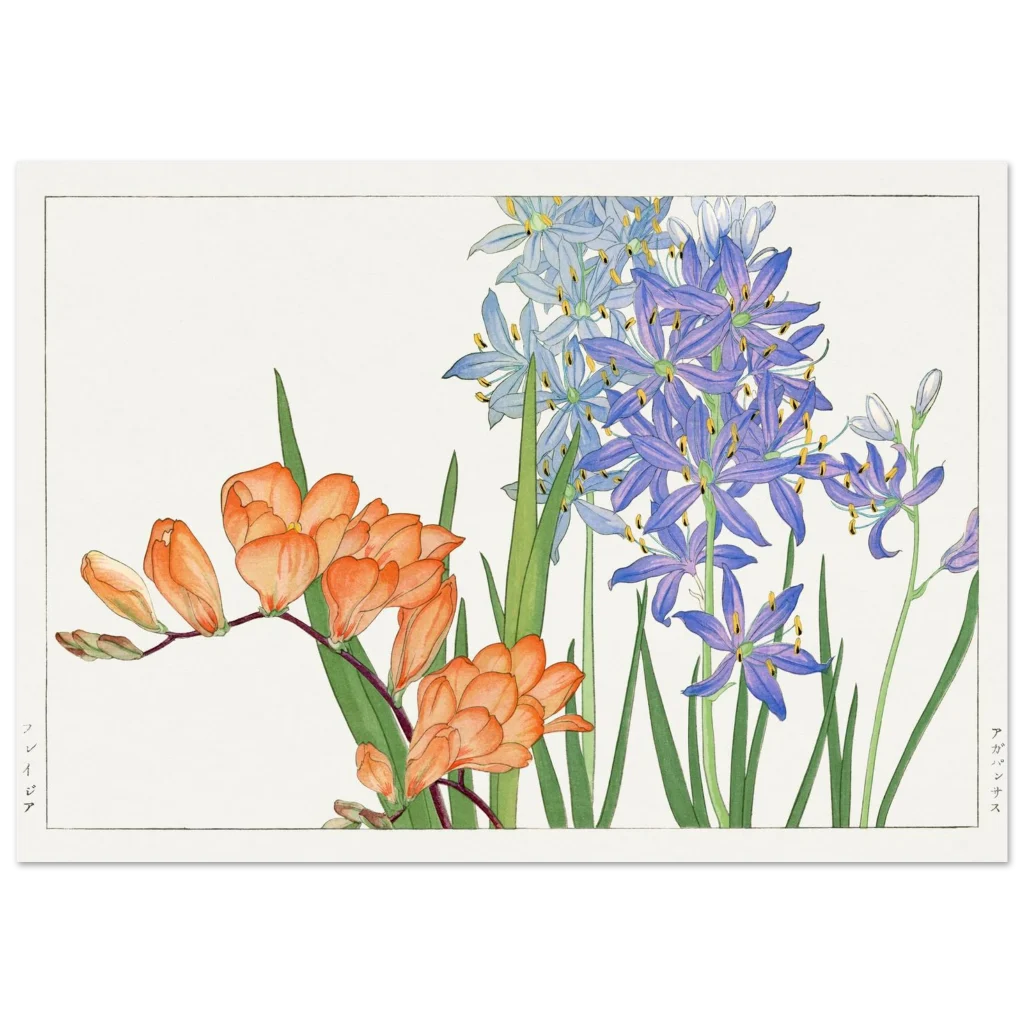 48508310-a115-498b-bb37-df34968d4b08.webp 48508310-a115-498b-bb37-df34968d4b08