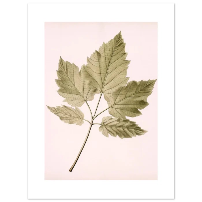 486d3849-a30e-4ec0-9535-dc49be32ec37