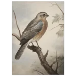 48c0427a-53aa-48c1-bccb-14752ba76b98