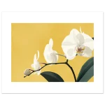 49820169-b960-4ccf-bac7-a7144330af67