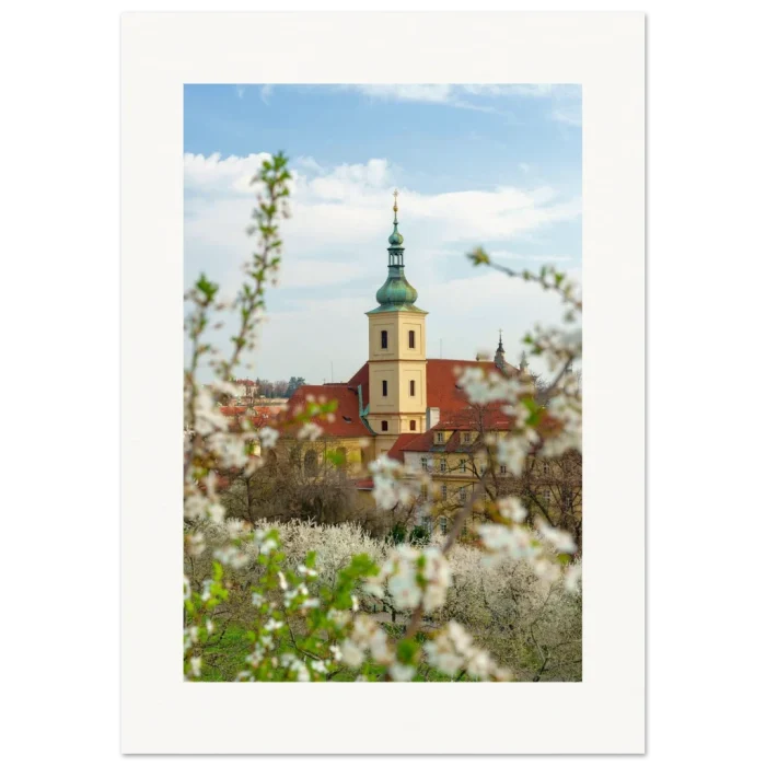 4989fa11-c5c8-43e5-9a70-a69b6baec55e