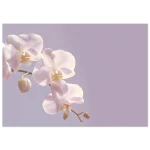 4a5c0a5d-ccc4-4c2c-a387-9057264b7526