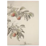 4a7b40b4-cf6c-47d0-a4ae-7dbfe1abffce