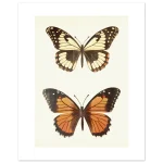 4b0eaedb-7b3e-467c-b1df-1e438e810df7