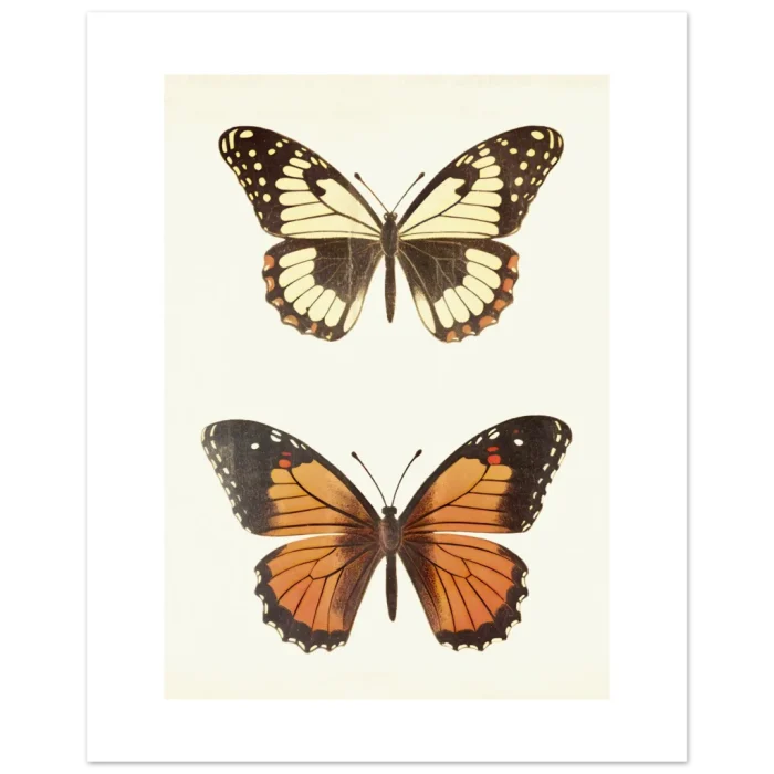 4b0eaedb-7b3e-467c-b1df-1e438e810df7