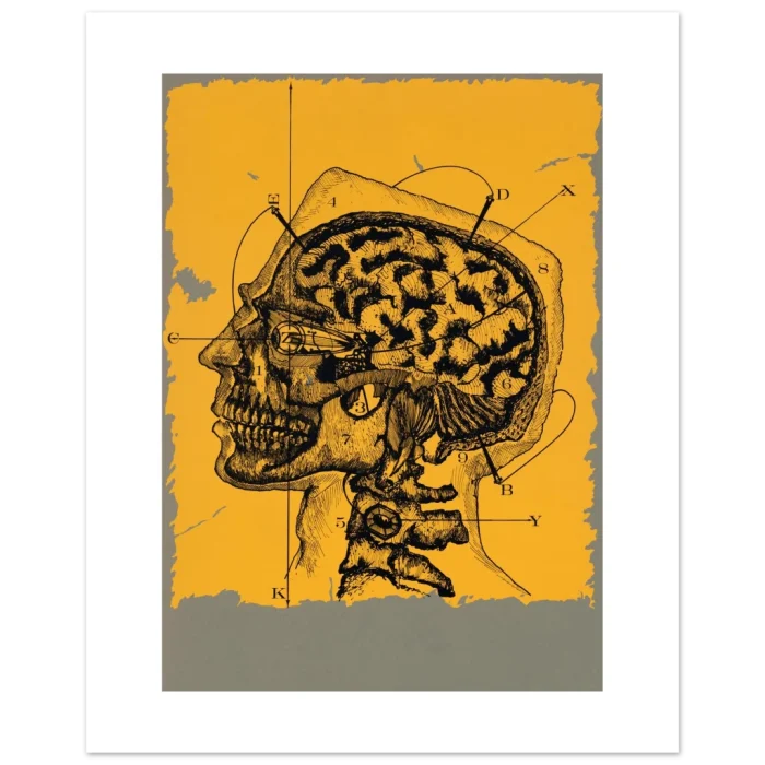 4b7971d4-57c1-4a97-8af1-998970bacad1