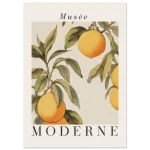 4bbf3977-8bc4-4c6c-a7b1-e2a0483eda96