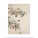 4c092a63-9489-4112-8cdf-878fa9c19454