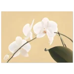 4c6bf5d3-eb9a-493c-97fc-9cb9f12ad89f