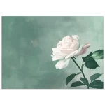 4d1962fb-9f09-4e7e-8cb2-2b85a950412c