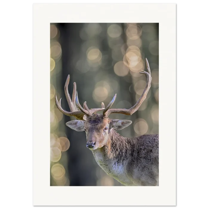 4dc5d69a-5130-46d8-9baf-40f8ecb68a66