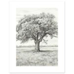 4fa295c8-85b3-4bdf-b5b0-92fdc0bbe085