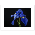 500f04fe-5def-4d19-a1c7-3aecf0f8d908