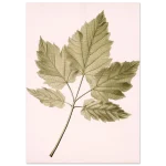 506e9074-e575-4d02-81f9-6f17ae90b47b