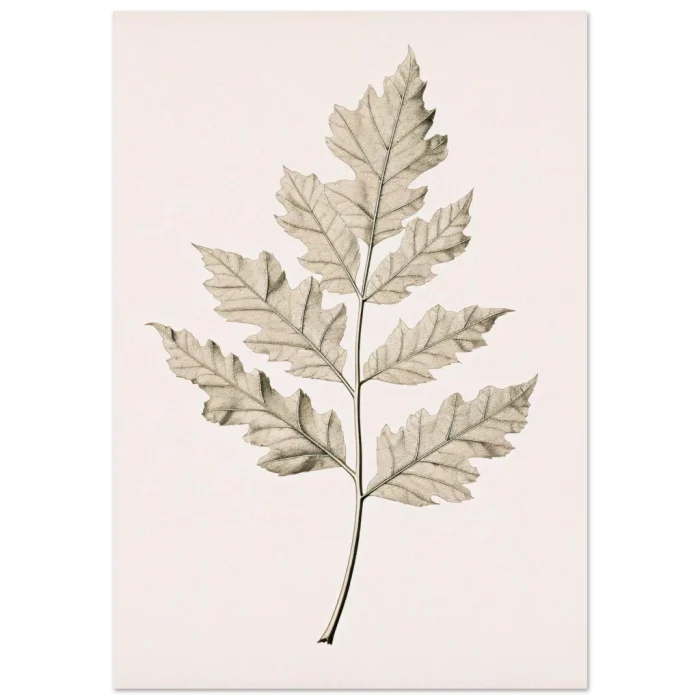 508958ce-2656-4149-a56d-785f8e23e714