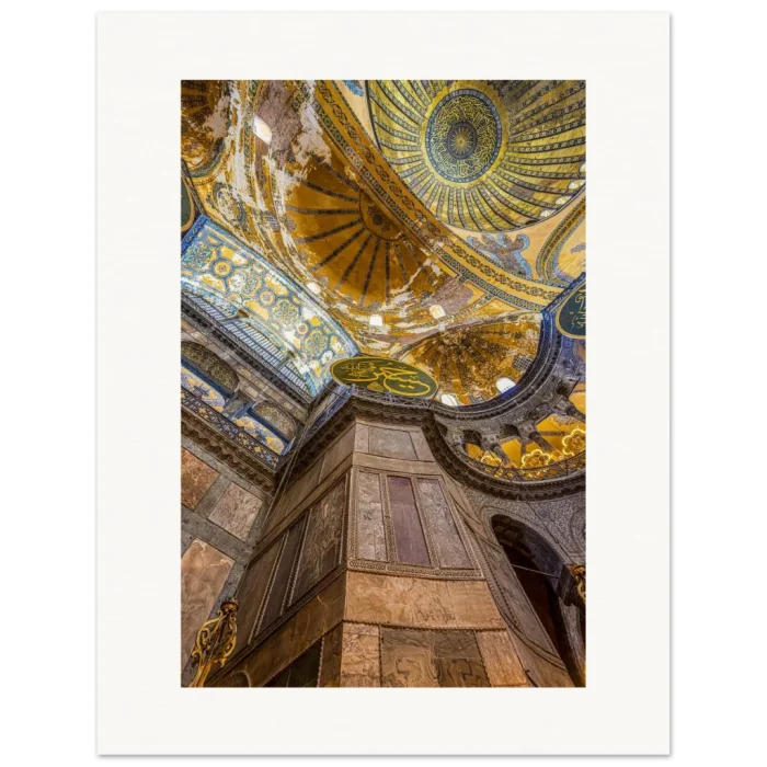 509b9bd0-44b9-42b1-aebe-d87f9f930088