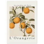 51a77912-a779-4e08-a116-ef54062633e9