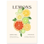 524c0797-4c86-4ae3-b3e1-f67ecee8d2d2