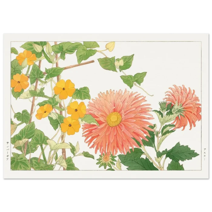 535ce4d5-ba11-4bf6-bb4e-38c74cab7aa3