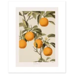 5446db1e-3dfa-45c9-a309-840e43136a21