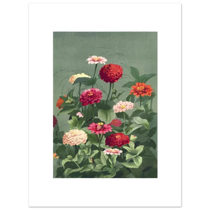 558a5e50-7715-4d4d-b297-5d91c9813676