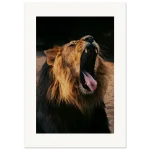 561dfefc-a4eb-4ccf-9fdb-f915fd905a95