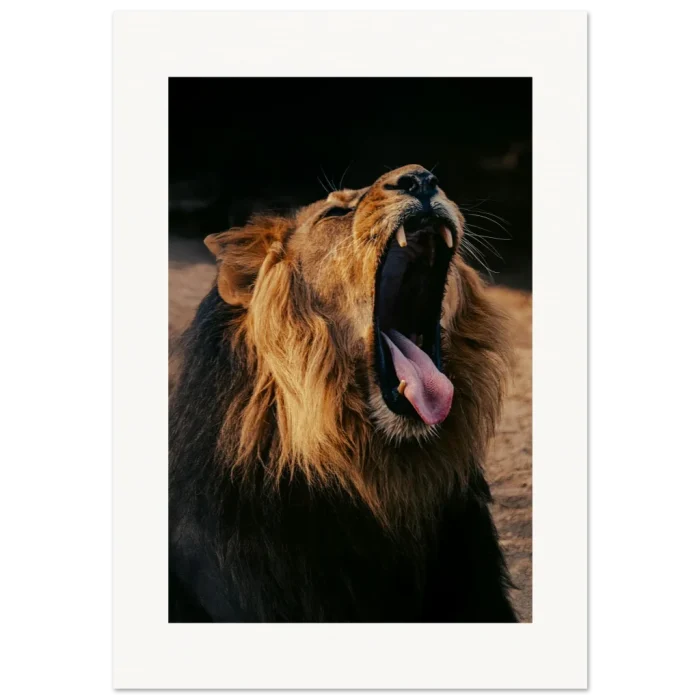 561dfefc-a4eb-4ccf-9fdb-f915fd905a95