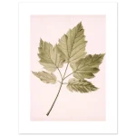 577fd191-49cd-4a83-b1fd-52004416cbd8