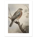 596b1f59-63ce-4de1-82dc-db18b337b48b