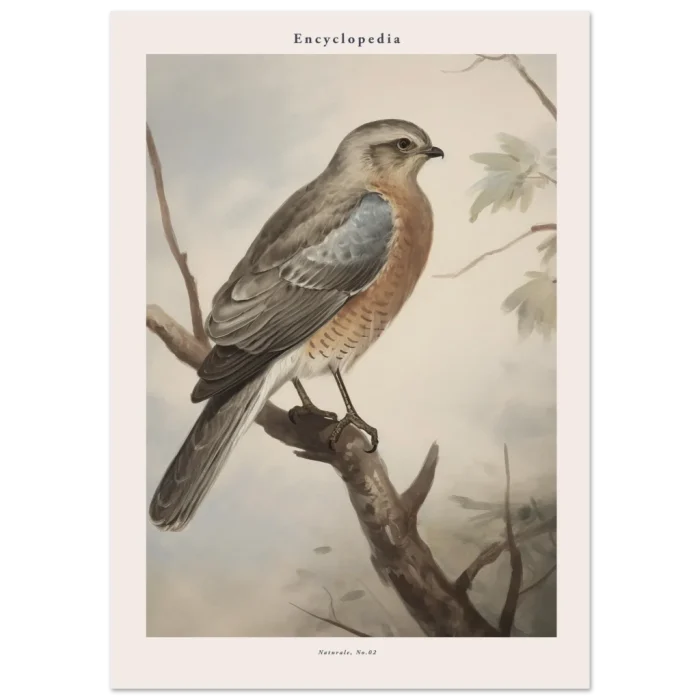 59f30ee2-c001-4ee5-a75e-646b1fc8fa07