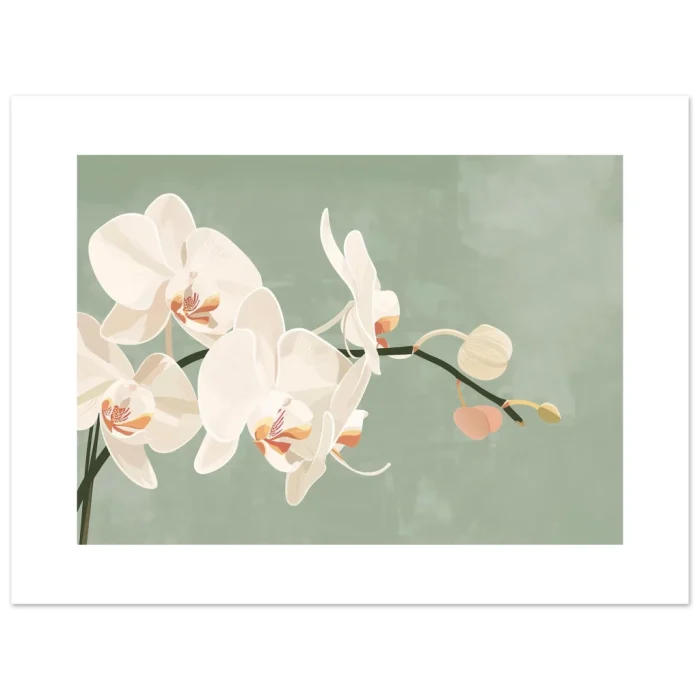 5a00620d-d270-412d-911c-d6e1a0330ec2