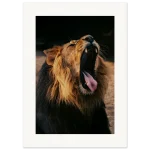 5a4c6db5-efff-414b-b17d-0dc921c9e2d6