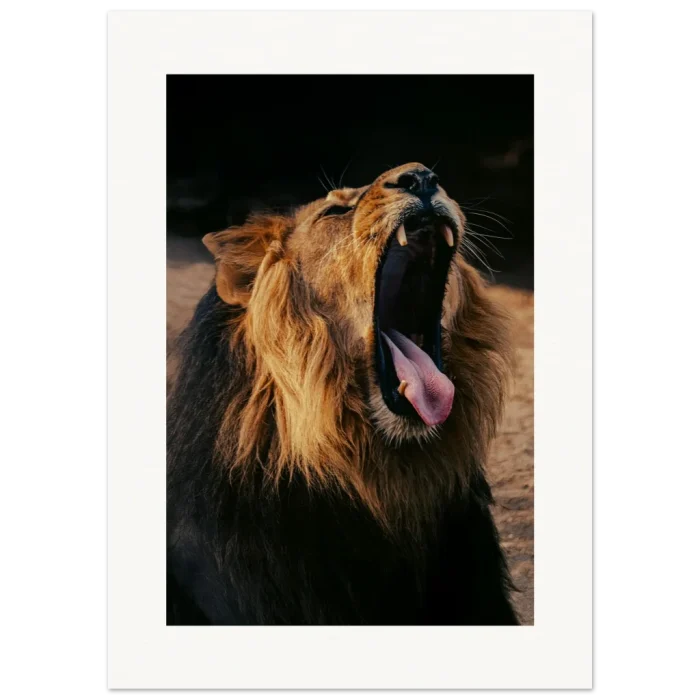 5a4c6db5-efff-414b-b17d-0dc921c9e2d6