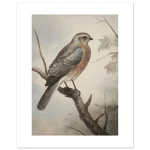 5a9cacc9-ff41-4c8f-baec-6c1c81a0cb16