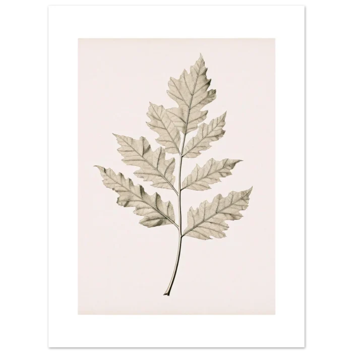 5b979c28-66ee-4ee4-9aab-896a5ff600e7