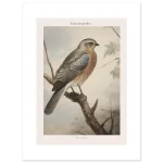 5ef89dac-ca25-45f8-a07c-044c4dea9900