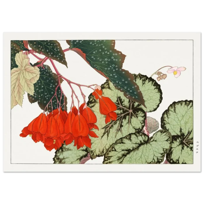 5fb02a9c-d4dc-4412-bca9-36aeef42e1bf