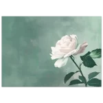 60b936b0-9cb9-4b46-8f6f-34d6ba8b9b67