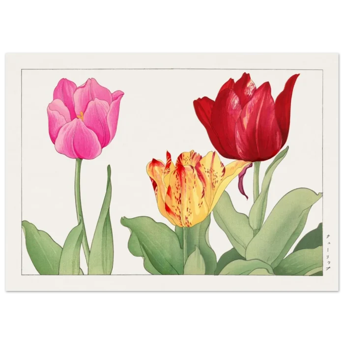 6163433c-1f2b-4aca-9e95-259908749238