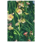 6184301c-3451-405c-83ea-3230bfa4adba