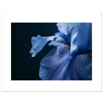 61896fc2-79bc-4331-a7e2-4eb6a523e1af