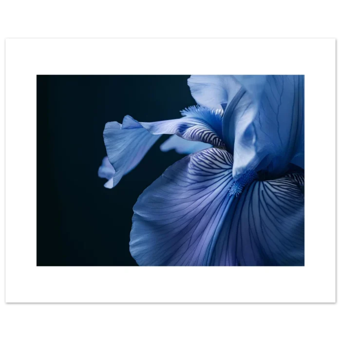 61896fc2-79bc-4331-a7e2-4eb6a523e1af