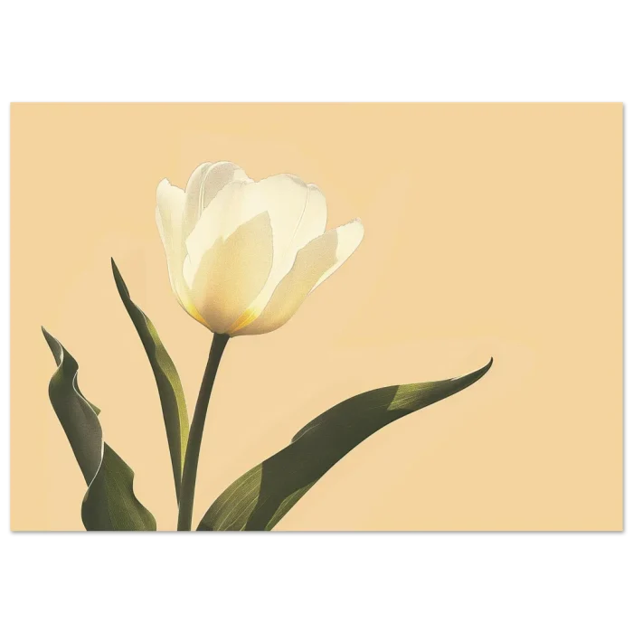 61cb9ae8-c6ad-4699-9af8-d83600d2a7be