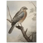 6264bfb6-7924-4be9-9521-13adaf21e203