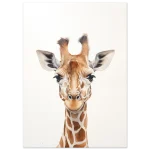 627fca16-e3da-4ba4-aea6-6e1e5eb9eb0a