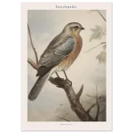 63258b39-2159-410d-8aaa-2d2f223b7b28