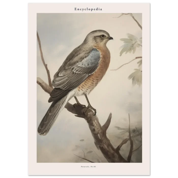 63258b39-2159-410d-8aaa-2d2f223b7b28